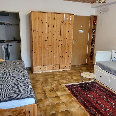 Apartment Betzenberg, Nur Netflix Kaiserslautern Eksteriør bilde