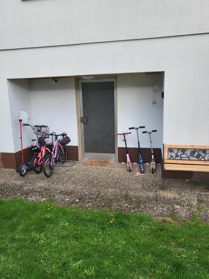 Apartment Betzenberg, Nur Netflix Kaiserslautern Eksteriør bilde